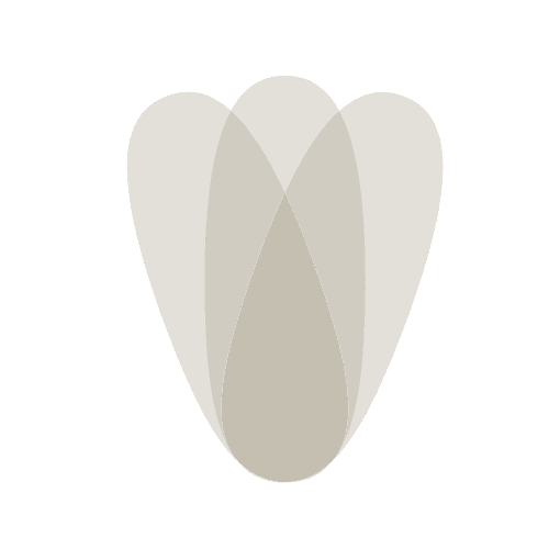 Clínica de Estética Avanzada en Granollers | Francesca Pol